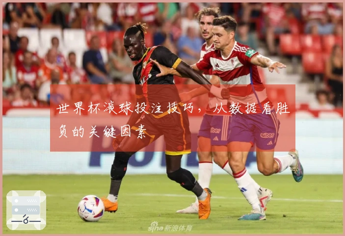 世界杯滚球投注技巧，从数据看胜负的关键因素