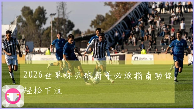2026世界杯买球新手必读指南助你轻松下注