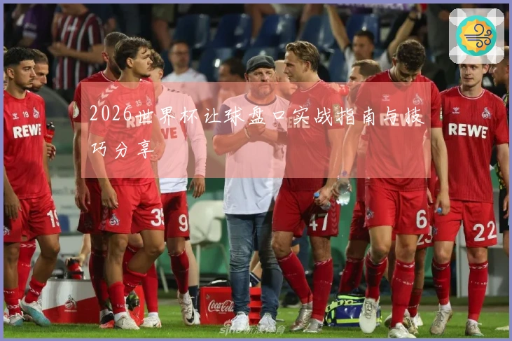 2026世界杯让球盘口实战指南与技巧分享