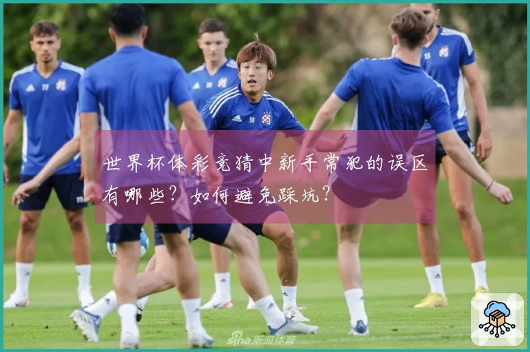 世界杯体彩竞猜中新手常犯的误区有哪些？如何避免踩坑？
