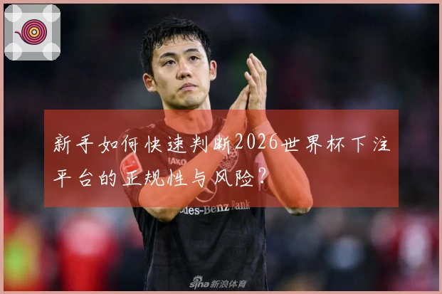 新手如何快速判断2026世界杯下注平台的正规性与风险？