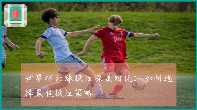 世界杯让球投注深度对比：如何选择最佳投注策略