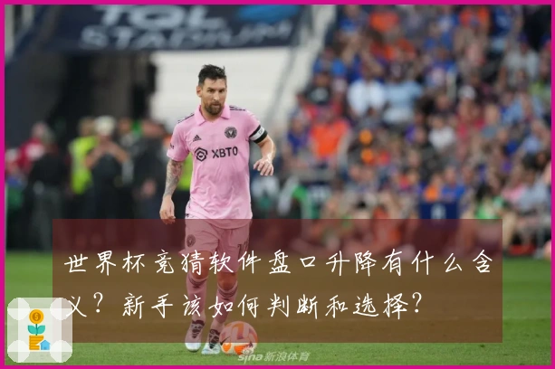 世界杯竞猜软件盘口升降有什么含义？新手该如何判断和选择？