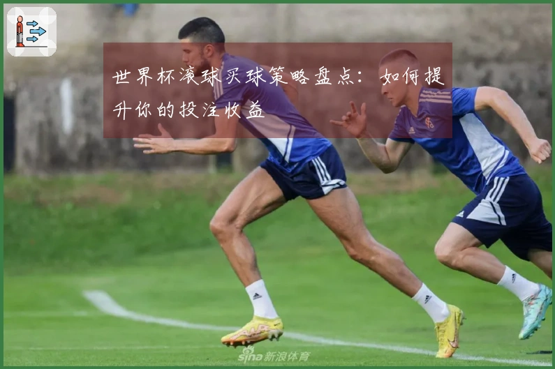 世界杯滚球买球策略盘点：如何提升你的投注收益