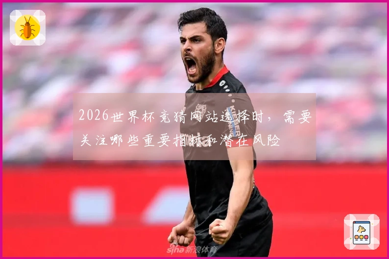 2026世界杯竞猜网站选择时，需要关注哪些重要指标和潜在风险