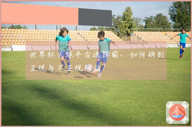 世界杯买球平台选择前，如何辨别正规与不正规网站？