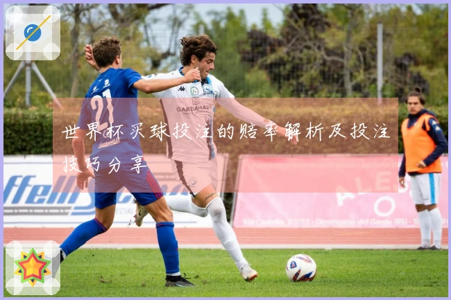 世界杯买球投注的赔率解析及投注技巧分享