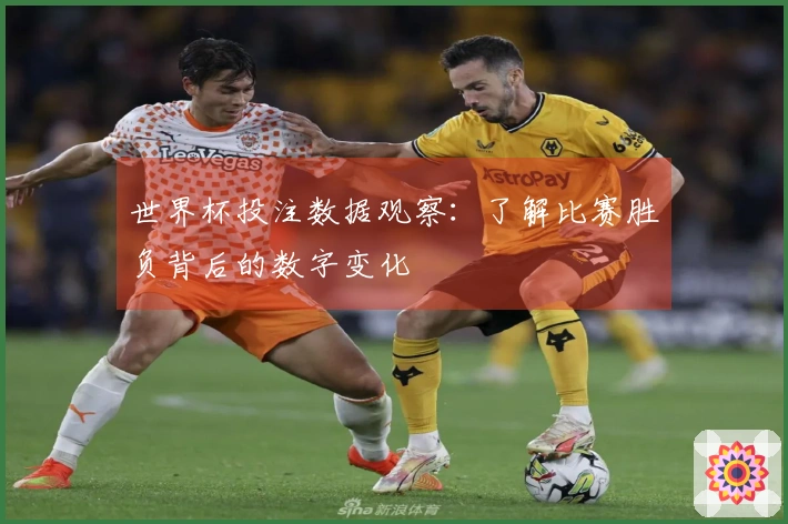 世界杯投注数据观察：了解比赛胜负背后的数字变化