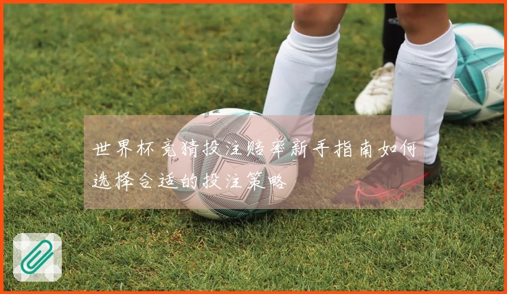 世界杯竞猜投注赔率新手指南如何选择合适的投注策略