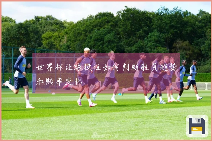 世界杯让球投注如何判断胜负趋势和赔率变化